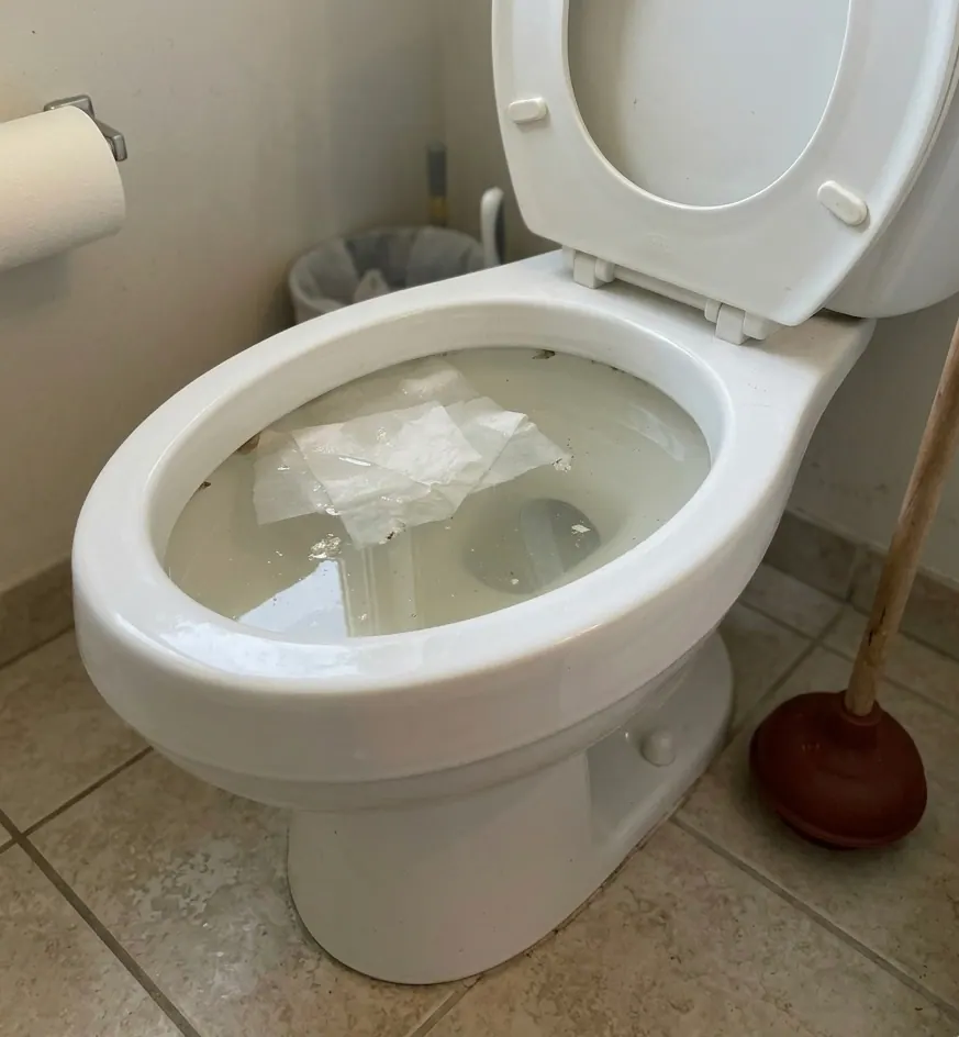 Blocked Toilets in Wolverton